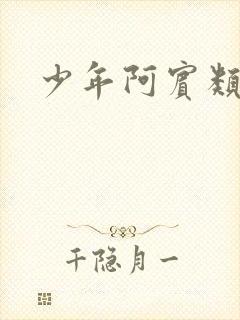 少年阿宾类似封面