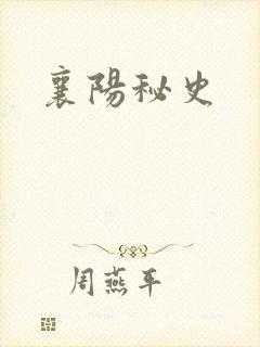 襄阳秘史封面