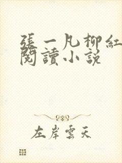 张一凡柳红免费阅读小说封面
