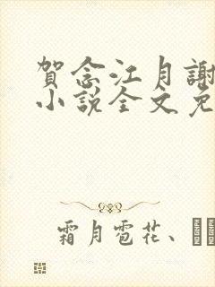 贺念江月谢泊年小说全文免费阅读笔趣阁封面