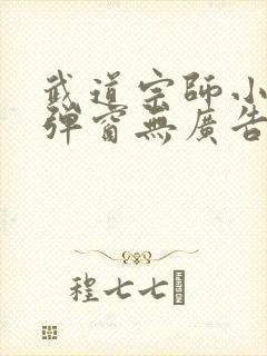 武道宗师小说无弹窗无广告
