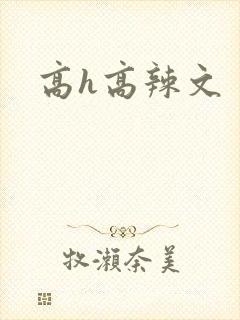 高h高辣文