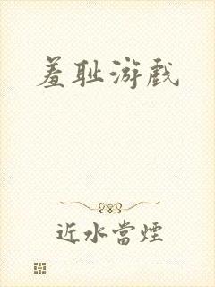 羞耻游戏封面