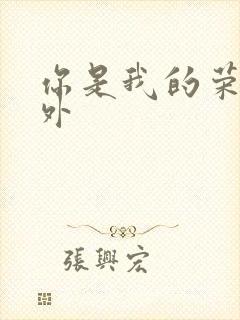 你是我的荣耀番外封面