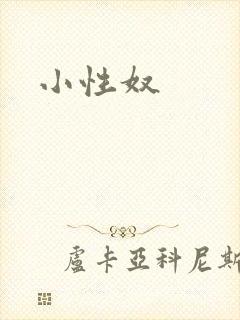 小性奴封面