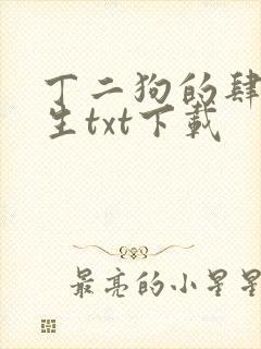 丁二狗的肆意人生txt下载