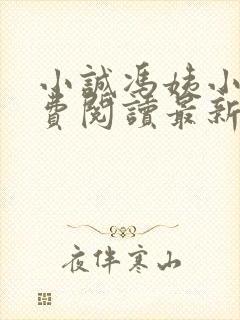 小诚冯姨小说免费阅读最新章节封面