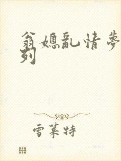 翁媳乱情梦莹系列