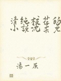 清纯校花的日常小说沈柔免费阅读