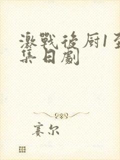 激战后厨1至5集日剧
