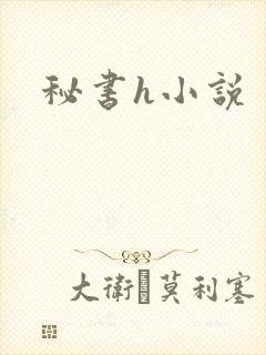 秘书h小说