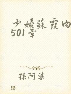 少妇苏霞肉欲第501章
