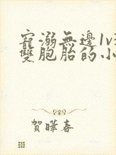 宠溺无边1v3双胞胎的小说