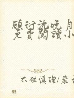 顾衍沈晚月全文免费阅读小说