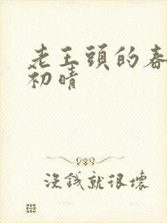 老王头的春天林初晴