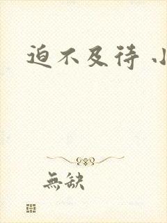 迫不及待 小穴
