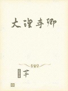 大理寺卿