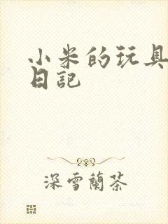 小米的玩具羞辱日记
