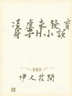 凌虐未发育的小身子H小说封面