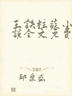 王铁柱苏小汐小说全文免费阅读最新章节封面
