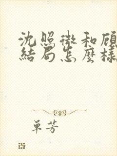 沈照微和顾昕川结局怎么样
