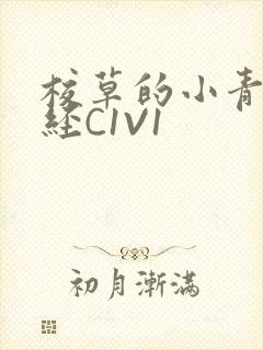校草的小青梅不经C1V1封面