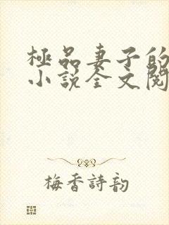 极品妻子的背叛小说全文阅读
