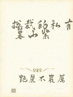 总裁的私有宝贝 暮山紫