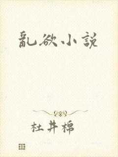乱欲小说