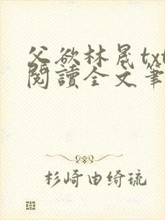 父欲林晟txt阅读全文笔趣阁小说
