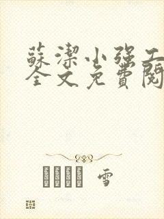 苏洁小强工地情全文免费阅读