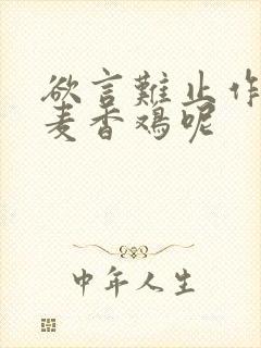 欲言难止作者:麦香鸡呢封面