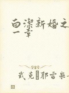 白洁新婚之夜第一章封面
