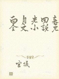白月光回来以后全文小说免费阅读封面