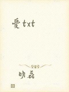 爱txt