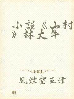 小说《山村情事》林大牛