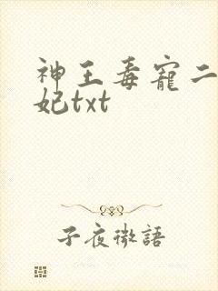 神王毒宠二嫁王妃txt