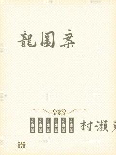 龙图案