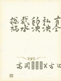 总裁的私有宝贝祸水泱泱全文阅读封面