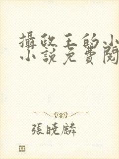 摄政王的小闲妻小说免费阅读