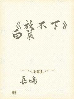 《放不下》半截白菜封面