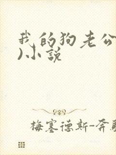 我的狗老公(七)小说