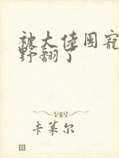 被大佬团宠后我野翻了