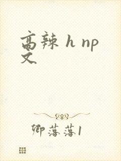 高辣 h np文