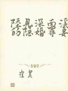 陆见深南溪陆少的隐婚罪妻封面