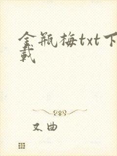 金瓶梅txt下载