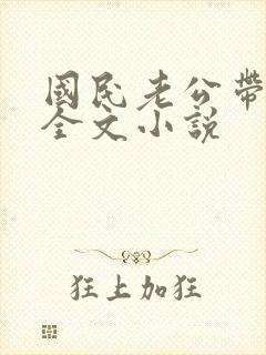 国民老公带回家全文小说封面