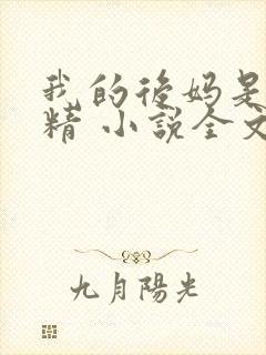 我的后妈是狐狸精 小说全文阅读免费