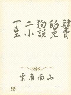 丁二狗的肆意人生小说免费1