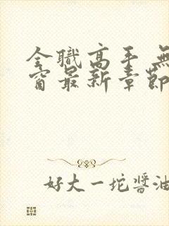 全职高手 无弹窗最新章节